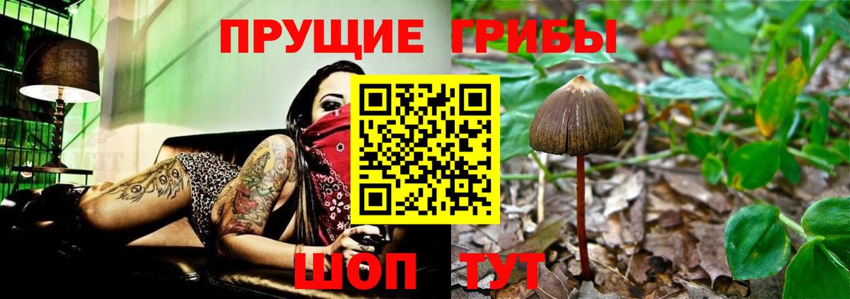 цены   Галлюциногенные грибы GOLDEN TEACHER  Вход с VPN  Кулебаки 